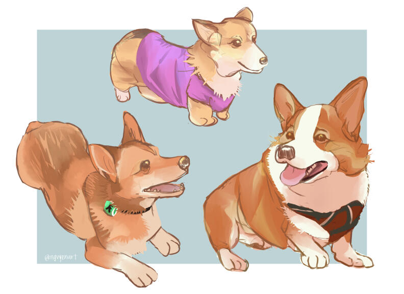 Corgis (2025) Corgis (2025)