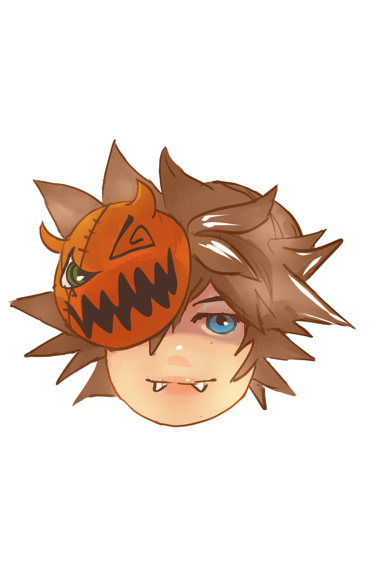 sora kingdom hearts sora kingdom hearts